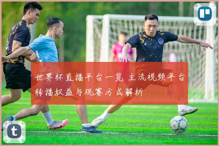 世界杯直播平台一览 主流视频平台转播权益与观赛方式解析