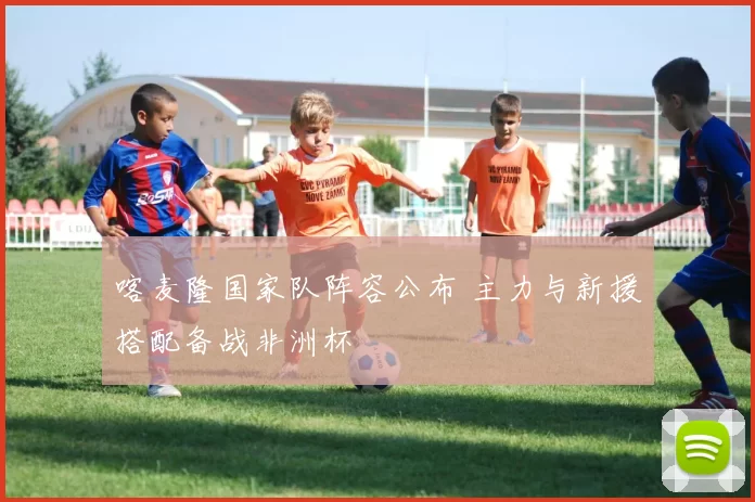 喀麦隆国家队阵容公布 主力与新援搭配备战非洲杯