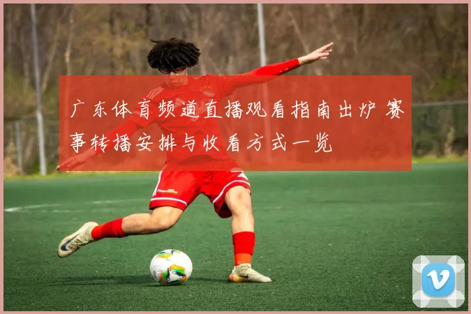 广东体育频道直播观看指南出炉 赛事转播安排与收看方式一览